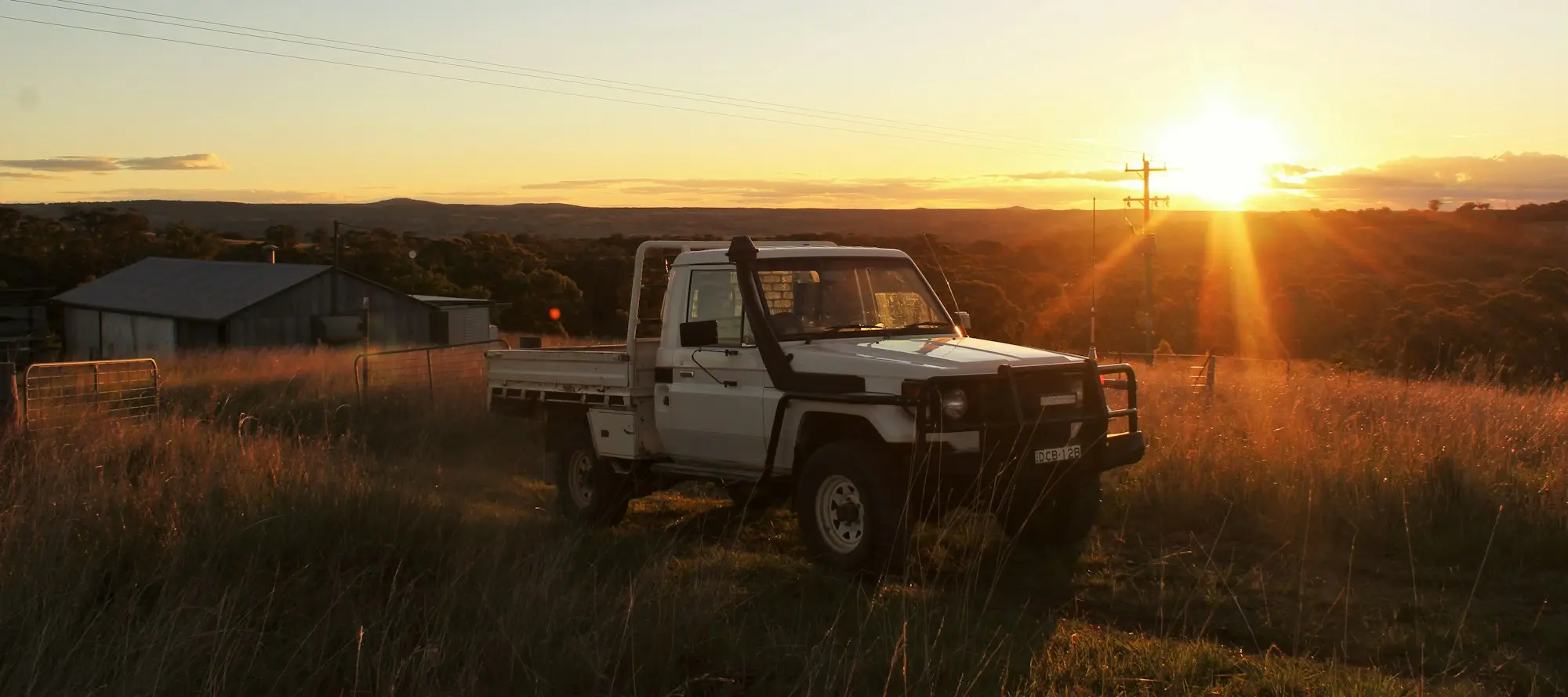 Single-cab tray ute with a snorkel parked in a grassy paddock at sunrise